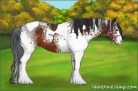Horse Color:White Spotted Bay Tobiano