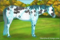 Horse Color:Thunderstruck White Spotted Black Splash 