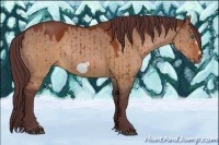 Horse Color:Chocolate Brown Dun Frame Rabicano