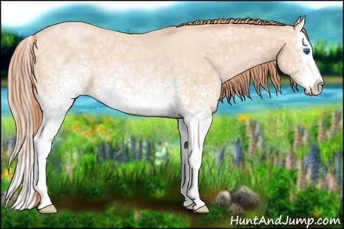 Horse Color:White Spotted Buckskin Ice Roan Pearl Splash 