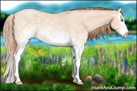 Horse Color:White Spotted Buckskin Ice Roan Pearl Splash