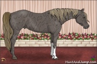 Horse Color:Liver Chestnut Ice 