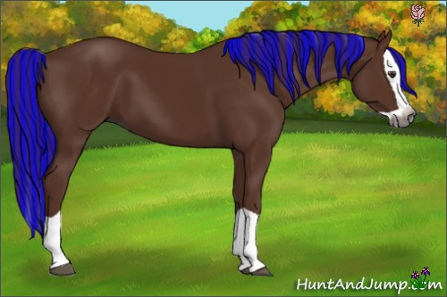 Horse Color:Gray Painted Chestnut Splash