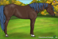 Horse Color:Gray Painted Chestnut 