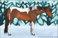 Horse Color:Bay Tobiano Rabicano 