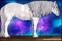 Horse Color:Watercolor White Spotted Bay Dun Splash Appaloosa 