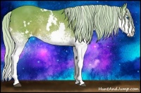 Horse Color:Watercolor White Spotted Silver Bay Splash 