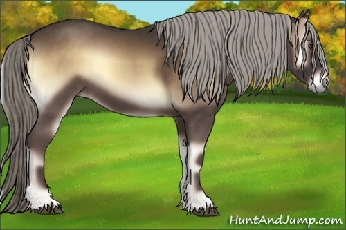 Horse Color:Chocolate Palomino Onyx