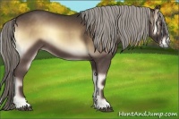 Horse Color:Chocolate Palomino Onyx