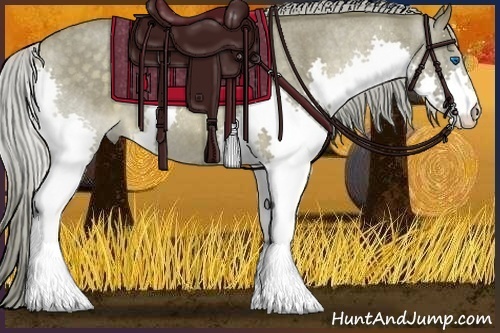Horse Color:Chocolate Palomino Roan Splash