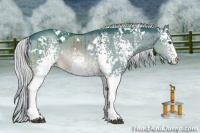 Horse Color:Watercolor White Spotted Silver Brown Chinchilla Dun Rabicano 