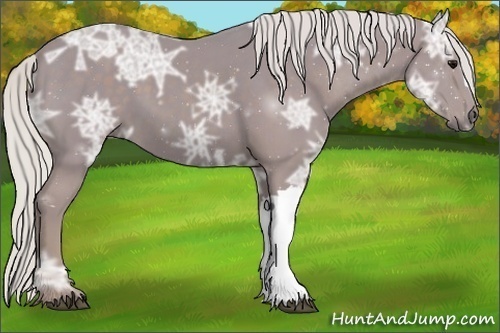 Horse Color:Watercolor Silver Smoky Black Ice