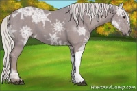 Horse Color:Watercolor Silver Smoky Black Ice 
