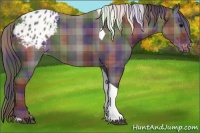 Horse Color:Nacre Plaid  Black Tobiano Varnish 