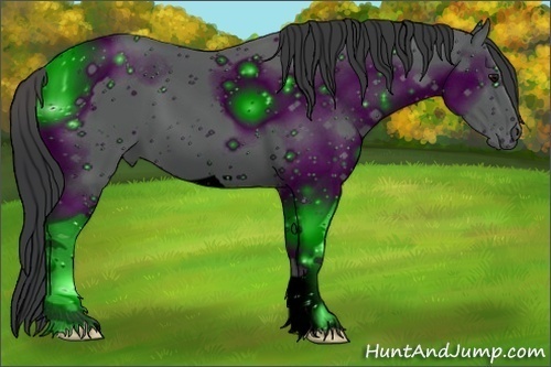 Horse Color:ERROR: UNKNOWN ANOMALY