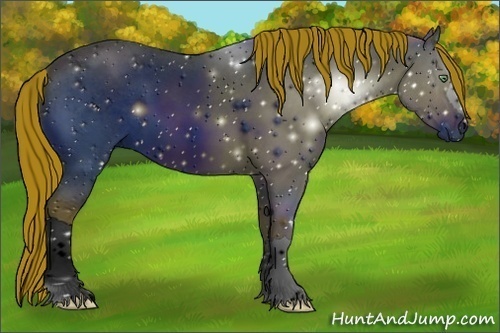 Horse Color:ERROR: UNKNOWN ANOMALY