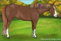 Horse Color:Painted Chestnut Splash 
