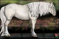 Horse Color:Silver Buckskin Roan Pearl Dun 