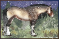 Horse Color:White Spotted Brown Ice Onyx