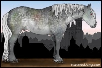 Horse Color:Silver Blue Chinchilla Roan Rabicano