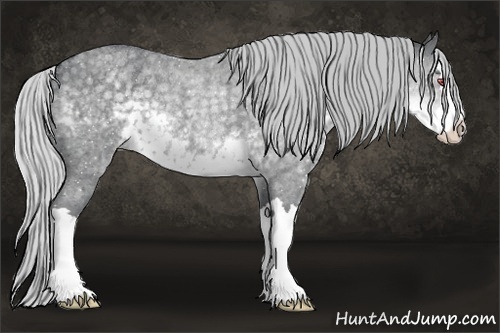 Horse Color:Silver Smoky Blue Chinchilla Roan Splash Rabicano