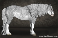 Horse Color:Silver Smoky Blue Chinchilla Roan Splash Rabicano 