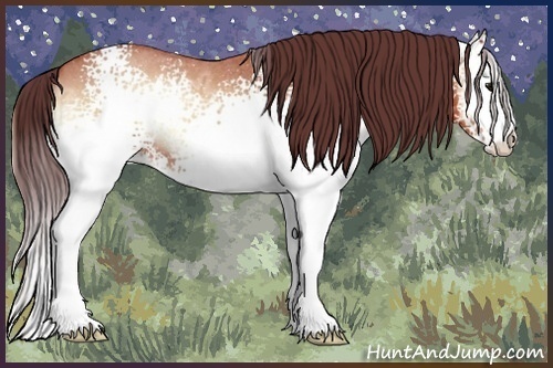 Horse Color:White Spotted Chocolate Bay Ice Roan Onyx