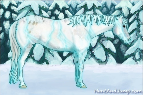 Horse Color:Thunderstruck Plaid  White Spotted Chocolate Palomino Onyx Appaloosa 