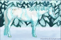 Horse Color:Thunderstruck Plaid  White Spotted Chocolate Palomino Onyx Appaloosa 
