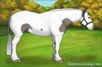 Horse Color:Grullo Splash Tobiano