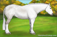 Horse Color:Gray Bay Dun Sabino Splash