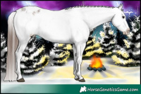 Horse Color:White Spotted Brown Roan Appaloosa 