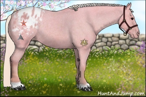 Horse Color:Watercolor Silver Black Appaloosa Rabicano 