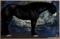 Horse Color:Liver Red Chinchilla Roan Sabino 