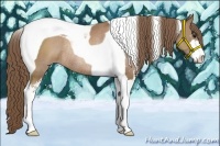 Horse Color:Black Pearl Sabino Tobiano Rabicano 