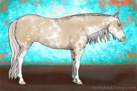 Horse Color:Silver Grullo Pearl Sabino Rabicano 