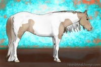 Horse Color:Black Pearl Tobiano Rabicano