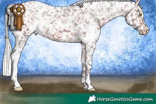 Horse Color:White Spotted Silver Brown Snowflake Varnish