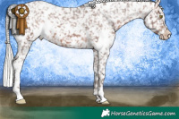Horse Color:White Spotted Silver Brown Appaloosa 