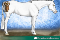 Horse Color:White Spotted Silver Brown Appaloosa 