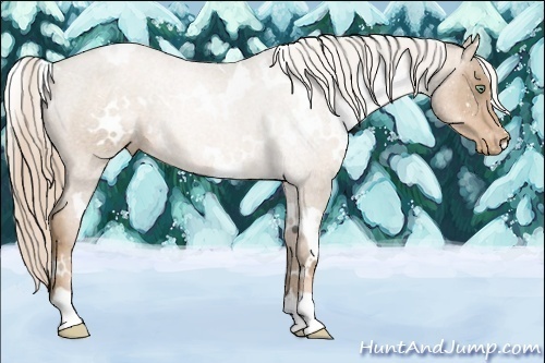 Horse Color:White Spotted Liver Chestnut Pearl Varnish 