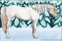 Horse Color:White Spotted Liver Chestnut Pearl Varnish