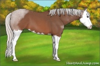 Horse Color:Silver Brown Roan Splash 