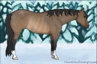 Horse Color:Brown Dun Rabicano