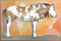 Horse Color:White Spotted Black Pearl Splash 