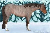 Horse Color:Liver Red Roan Rabicano 