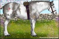 Horse Color:White Spotted Silver Black Splash