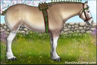 Horse Color:White Spotted Palomino Onyx 
