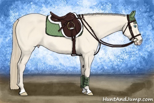 Horse Color:Perlino Rabicano 