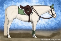 Horse Color:Perlino Rabicano